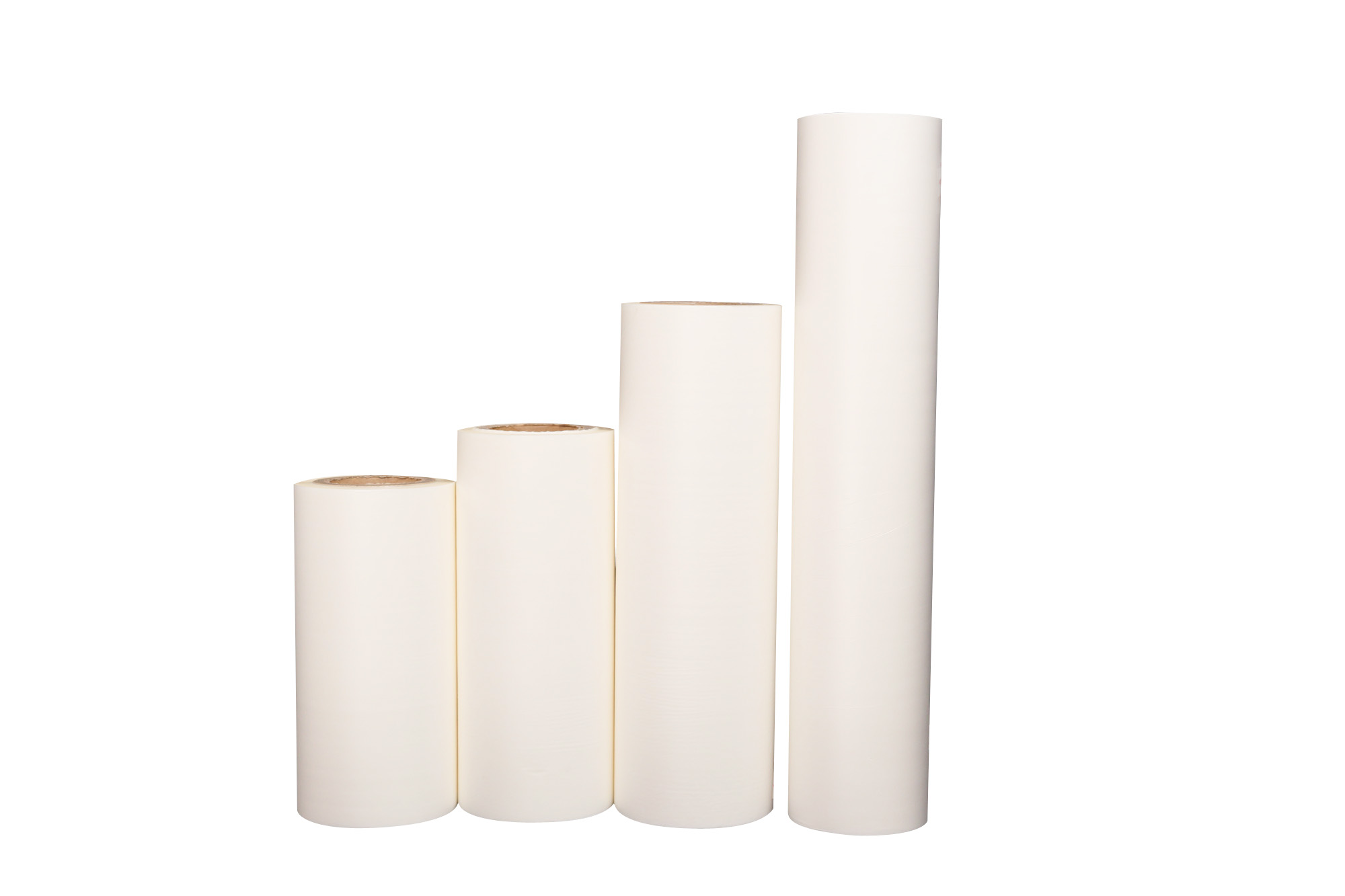 película de mascotas