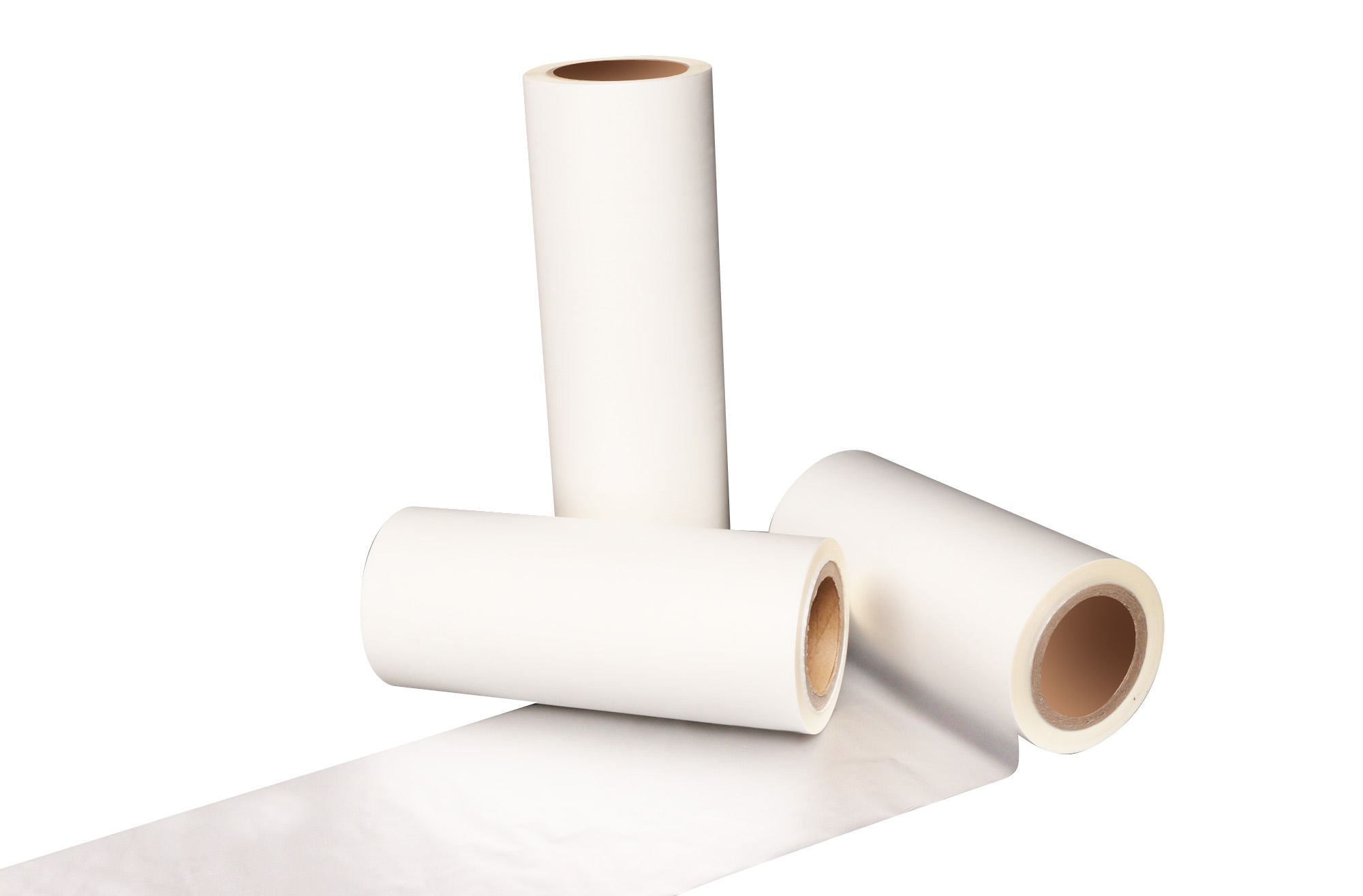 películas térmicas para mascotas